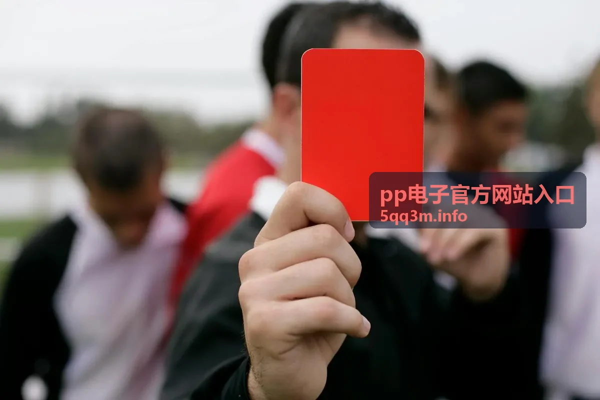 官方入口指南快速访问pp电子官方网站入口